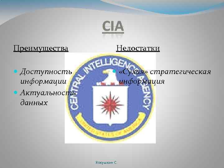 Преимущества Доступность информации Актуальность данных Недостатки «Сухая» стратегическая информация Кокушкин С. 