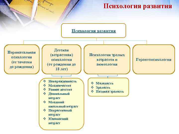 Проект по возрастной психологии