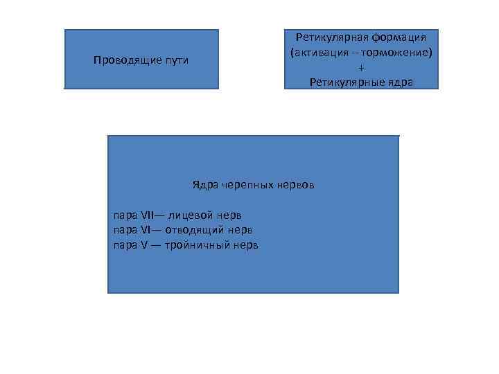 Ретикулярная формация (активация – торможение) + Ретикулярные ядра Проводящие пути Ядра черепных нервов пара