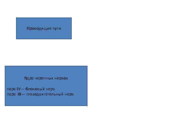 Проводящие пути Ядра черепных нервов пара IV— блоковый нерв пара III— глазодвигательный нерв 