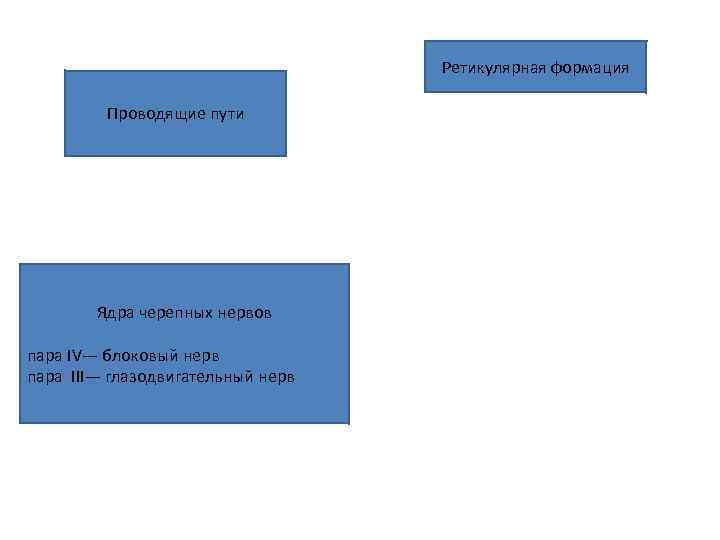 Ретикулярная формация Проводящие пути Ядра черепных нервов пара IV— блоковый нерв пара III— глазодвигательный