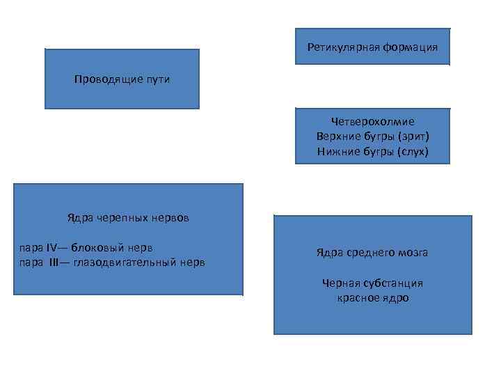 Ретикулярная формация Проводящие пути Четверохолмие Верхние бугры (зрит) Нижние бугры (слух) Ядра черепных нервов