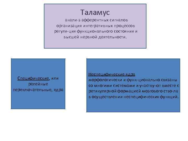 Таламус анали з афферентных сигналов организация интегративных процессов регуля ция функционального состояния и высшей