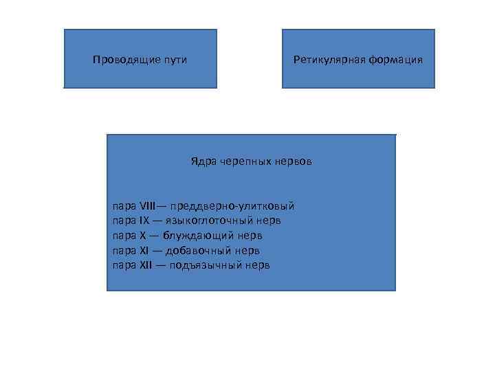 Проводящие пути Ретикулярная формация Ядра черепных нервов пара VIII— преддверно улитковый пара IX —