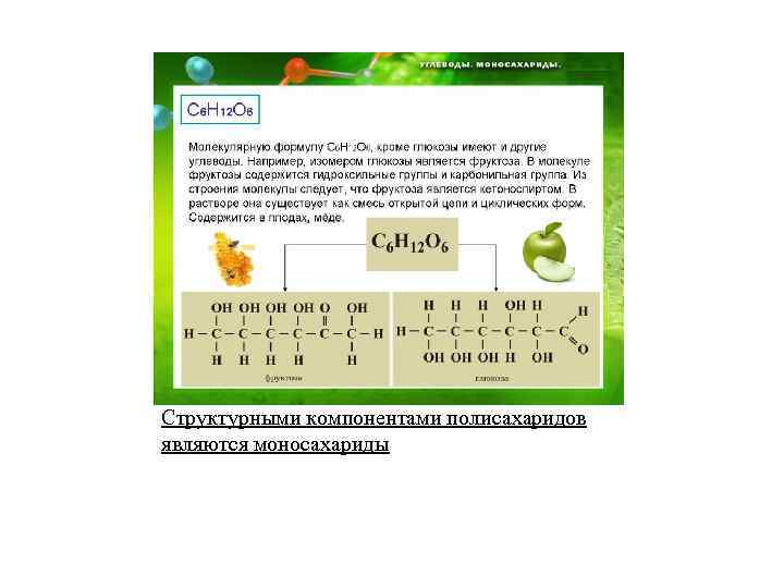 Структурными компонентами полисахаридов являются моносахариды 