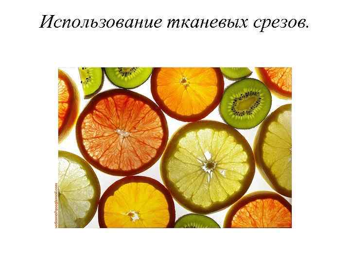 Использование тканевых срезов. 