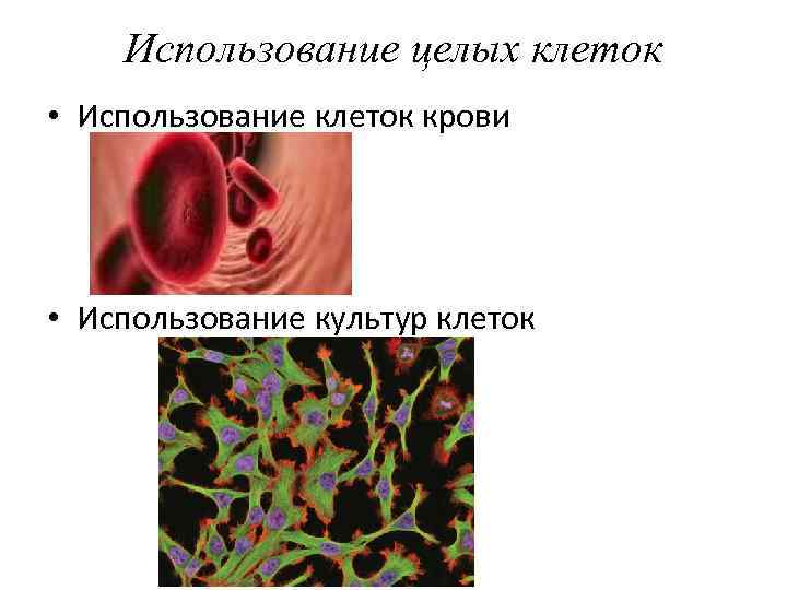 Использование целых клеток • Использование клеток крови • Использование культур клеток 