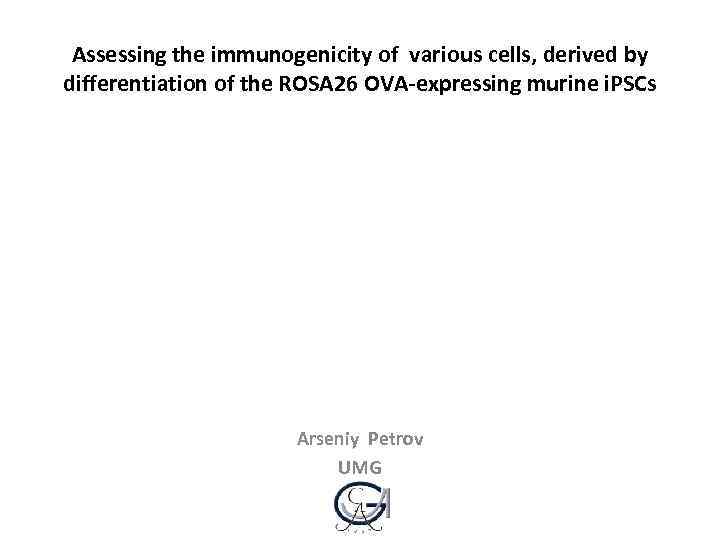 Assessing the immunogenicity of various cells, derived by differentiation of the ROSA 26 OVA-expressing