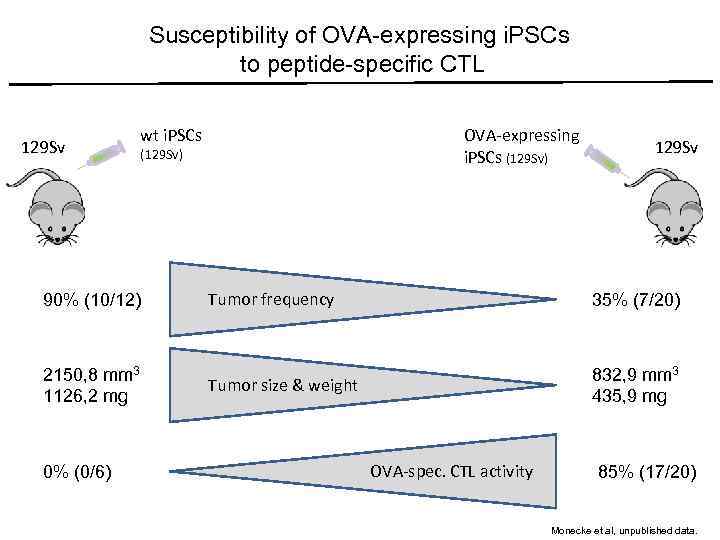 Susceptibility of OVA-expressing i. PSCs to peptide-specific CTL 129 Sv wt i. PSCs (129