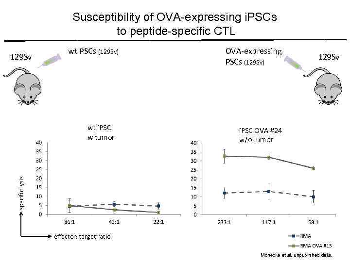 Susceptibility of OVA-expressing i. PSCs to peptide-specific CTL 129 Sv wt PSCs (129 Sv)