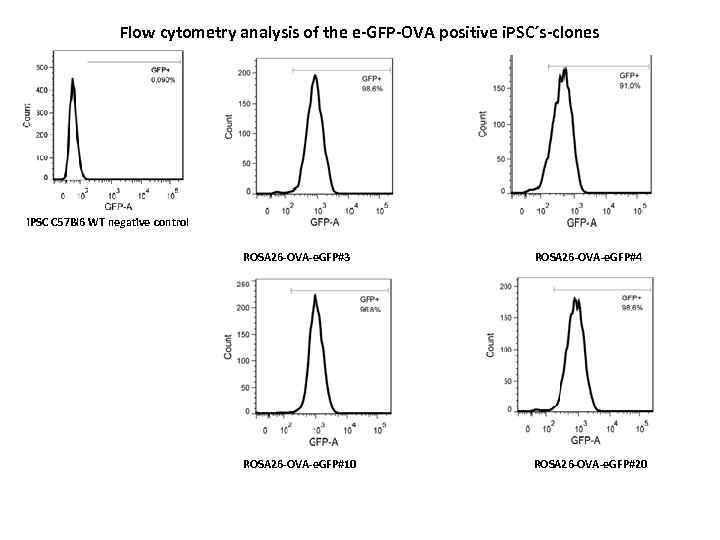 Flow cytometry analysis of the e-GFP-OVA positive i. PSC´s-clones i. PSC C 57 Bl