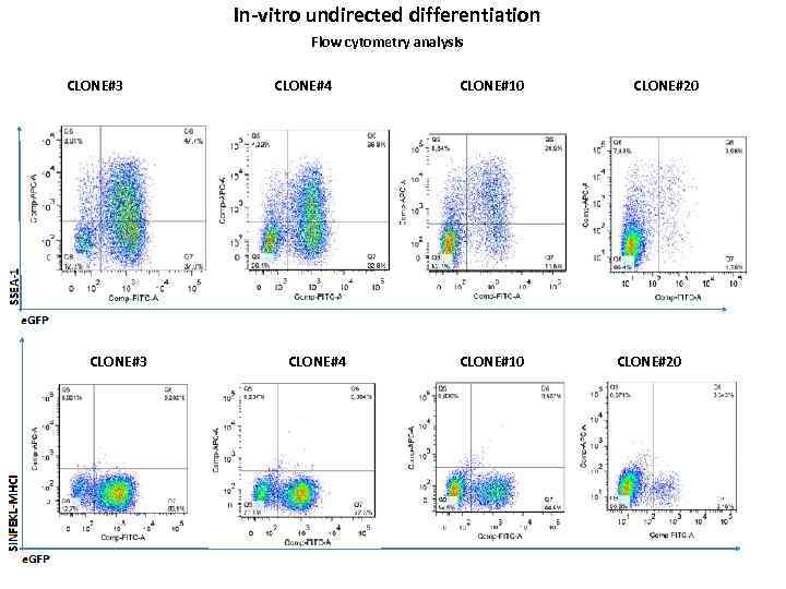 In-vitro undirected differentiation Flow cytometry analysis CLONE#3 CLONE#4 CLONE#10 CLONE#20 