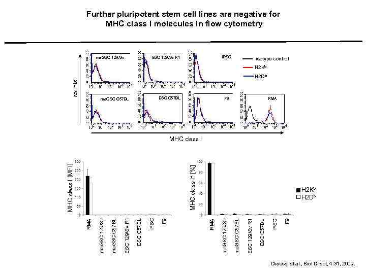 Further pluripotent stem cell lines are negative for MHC class I molecules in flow