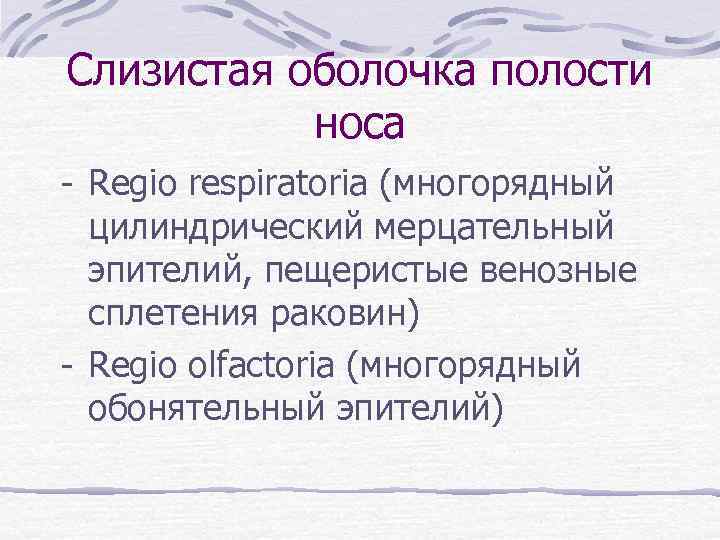 Слизистая оболочка полости носа - Regio respiratoria (многорядный цилиндрический мерцательный эпителий, пещеристые венозные сплетения