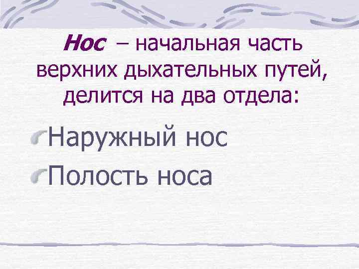 Нос – начальная часть верхних дыхательных путей, делится на два отдела: Наружный нос Полость