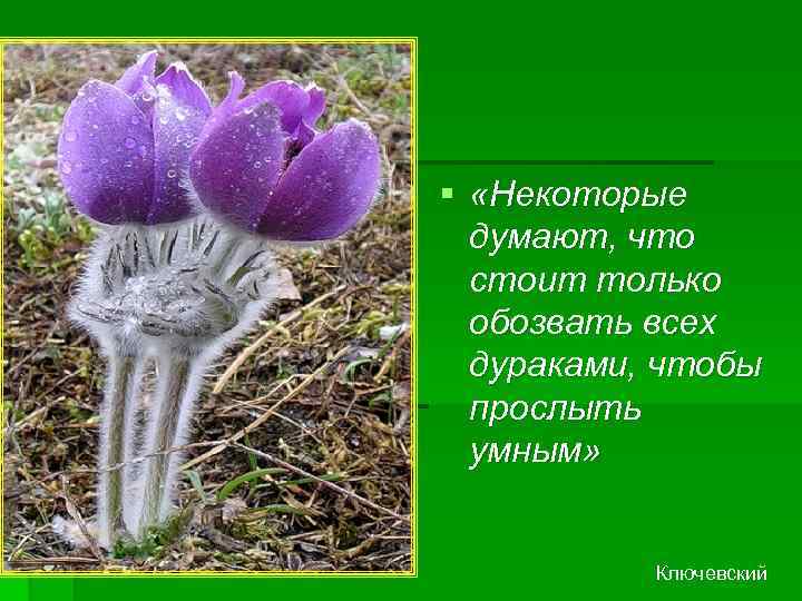 § «Некоторые думают, что стоит только обозвать всех дураками, чтобы прослыть умным» Ключевский 