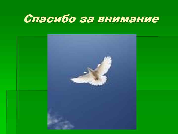 Спасибо за внимание 