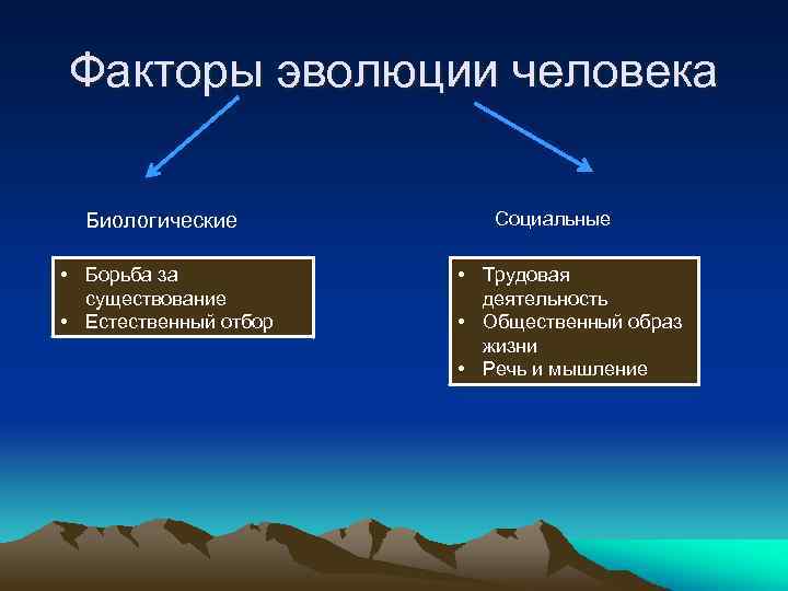 Биологические и социальные факторы эволюции