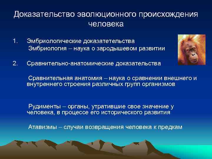 Доказательство эволюционного происхождения человека 1. Эмбриологические доказатетельства Эмбриология – наука о зародышевом развитии 2.