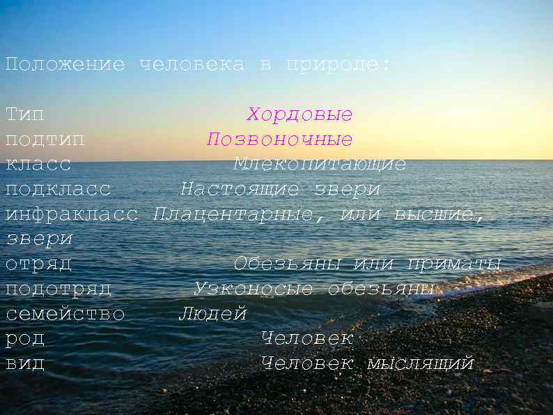 Положение человека в природе: Тип Хордовые подтип Позвоночные класс Млекопитающие подкласс Настоящие звери инфракласс