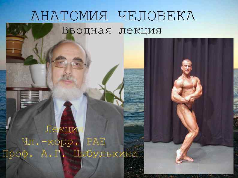 АНАТОМИЯ ЧЕЛОВЕКА Вводная лекция Лекция Чл. -корр. РАЕ Проф. А. Г. Цыбулькина 