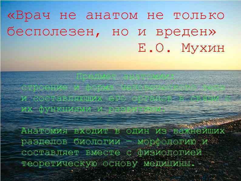 «Врач не анатом не только бесполезен, но и вреден» Е. О. Мухин Предмет