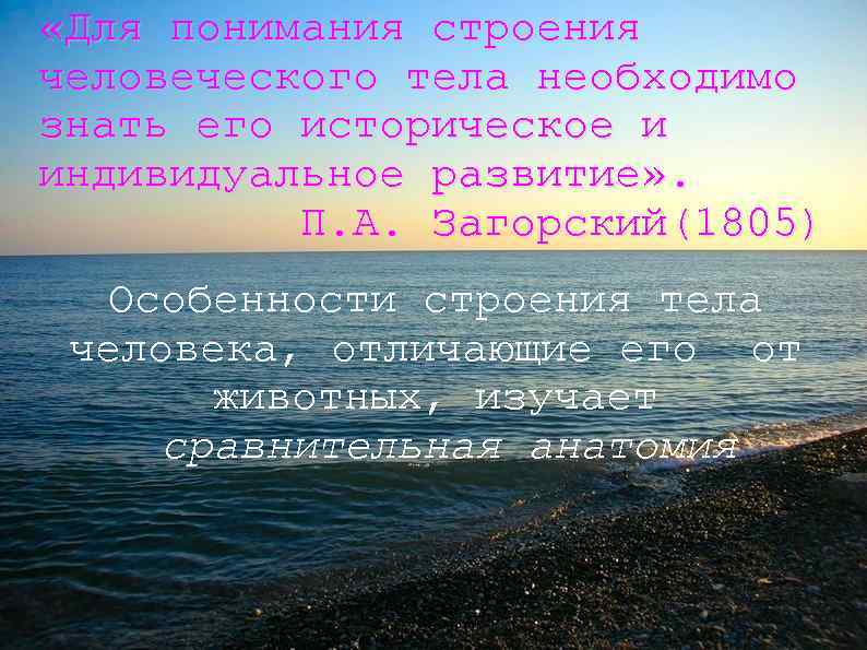  «Для понимания строения человеческого тела необходимо знать его историческое и индивидуальное развитие» .