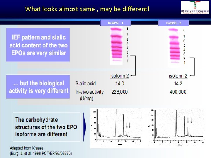 What looks almost same , may be different! Dr. Shivraj Dasari 