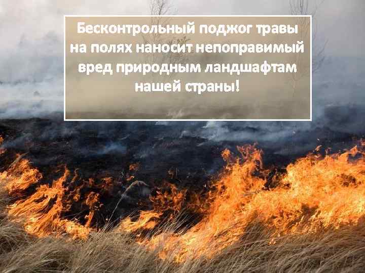 Бесконтрольный поджог травы на полях наносит непоправимый вред природным ландшафтам нашей страны! 