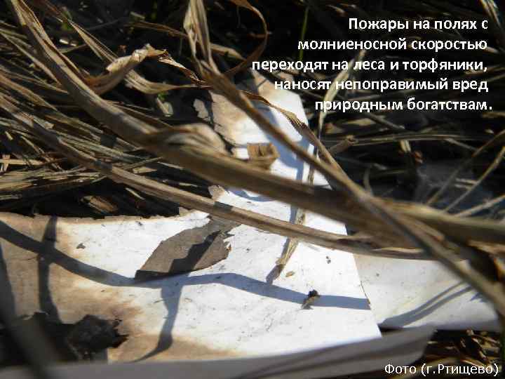 Пожары на полях с молниеносной скоростью переходят на леса и торфяники, наносят непоправимый вред