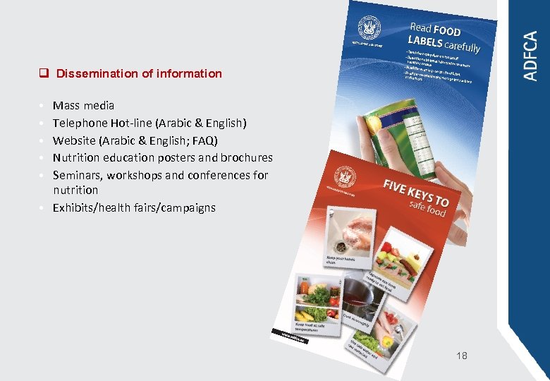 q Dissemination of information Mass media Telephone Hot-line (Arabic & English) Website (Arabic &