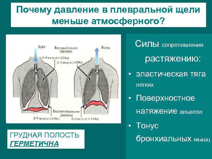 Схема дыхания при па