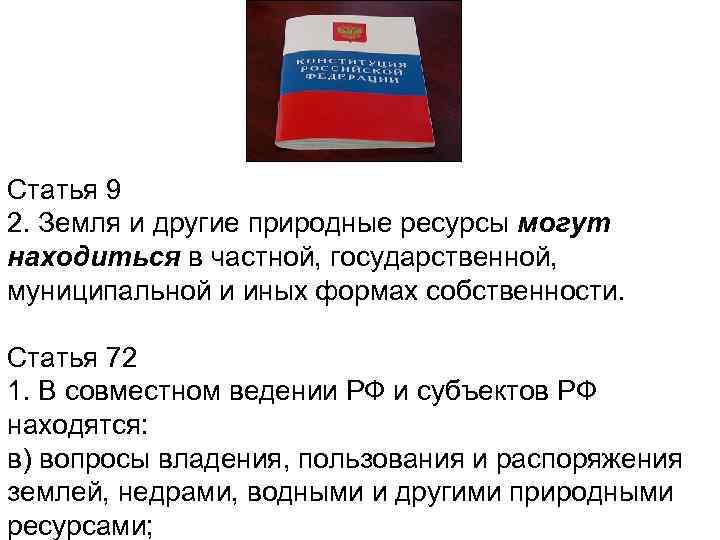 Ст 9. Конституция РФ О недрах и природных ресурсах. Земля и другие природные ресурсы могут находиться в собственности. Конституция РФ природные ресурсы. О недрах в Конституции РФ.