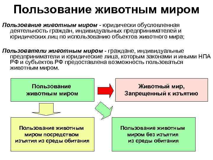 Эколого правовой режим пользования животным миром презентация