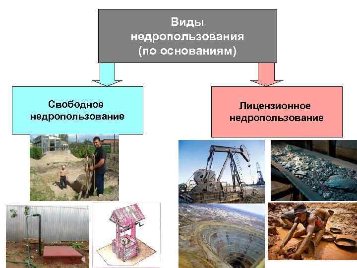 Единая карта недропользования