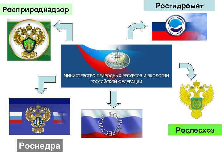 Росприроднадзор Росгидромет Рослесхоз Роснедра 