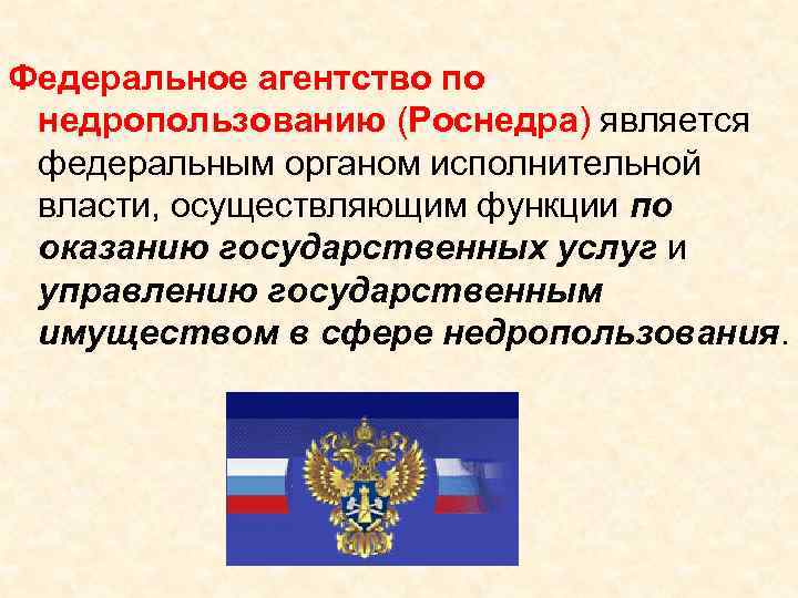 Федеральное агентство по недропользованию (Роснедра) является федеральным органом исполнительной власти, осуществляющим функции по оказанию