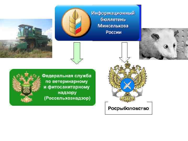 Минсельхоз Росрыболовство 