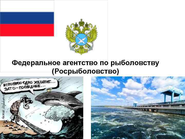 Федеральное агентство по рыболовству (Росрыболовство) 