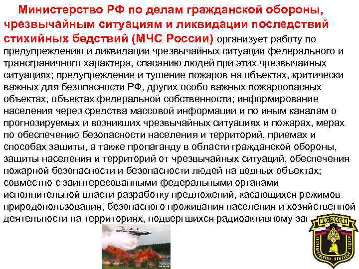 Министерство РФ по делам гражданской обороны, чрезвычайным ситуациям и ликвидации последствий стихийных бедствий (МЧС