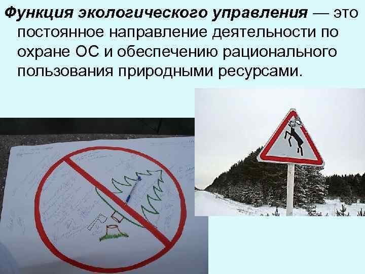 Функция экологического управления — это постоянное направление деятельности по охране ОС и обеспечению рационального