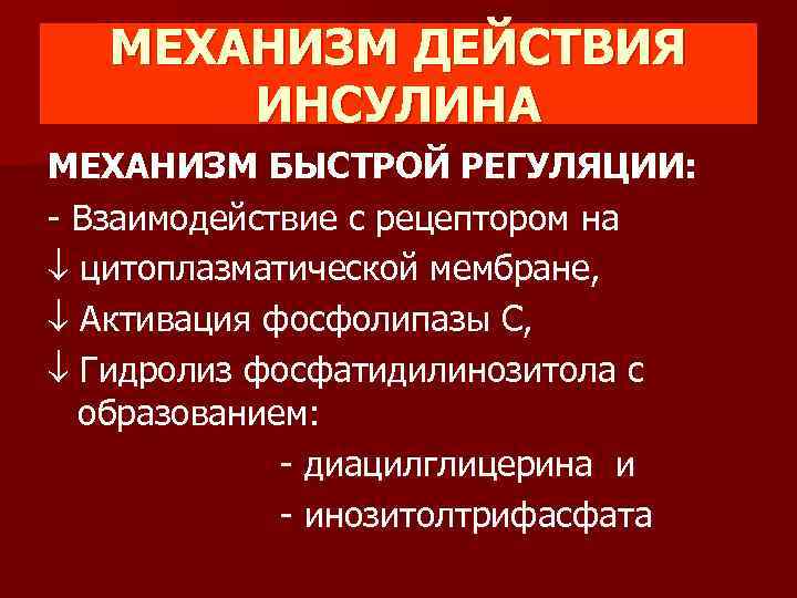 МЕХАНИЗМ ДЕЙСТВИЯ ИНСУЛИНА МЕХАНИЗМ БЫСТРОЙ РЕГУЛЯЦИИ: - Взаимодействие с рецептором на цитоплазматической мембране, Активация