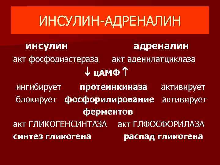 ИНСУЛИН-АДРЕНАЛИН инсулин адреналин акт фосфодиэстераза акт аденилатциклаза ц. АМФ ингибирует протеинкиназа активирует блокирует фосфорилирование