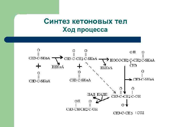 Ход процедуры