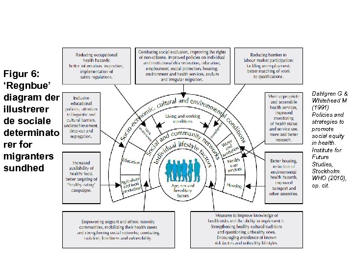 Figur 6: ‘Regnbue’ diagram der illustrerer de sociale determinato rer for migranters sundhed Dahlgren