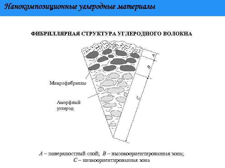 Нанокомпозиционные углеродные материалы ФИБРИЛЛЯРНАЯ СТРУКТУРА УГЛЕРОДНОГО ВОЛОКНА Микрофибриллы Аморфный углерод А – поверхностный слой;