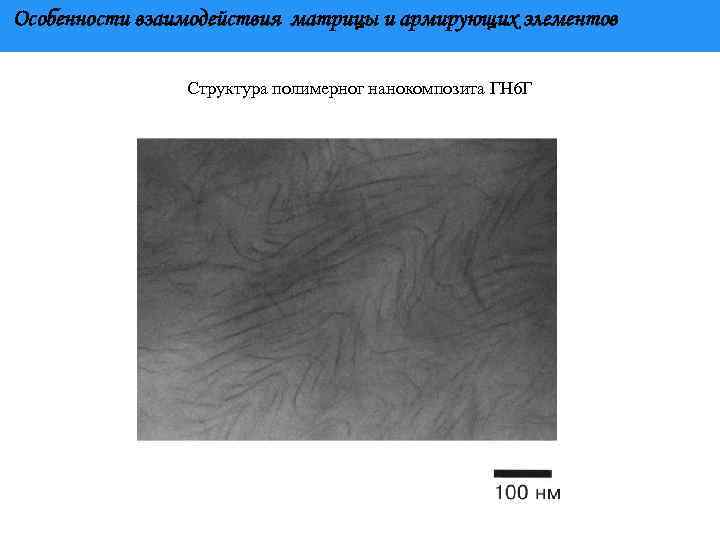 Особенности взаимодействия матрицы и армирующих элементов Структура полимерног нанокомпозита ГН 6 Г 