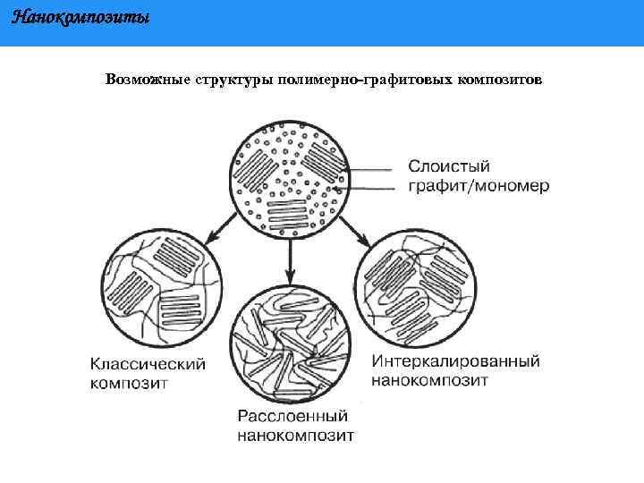 Нанокомпозиты Возможные структуры полимерно графитовых композитов 