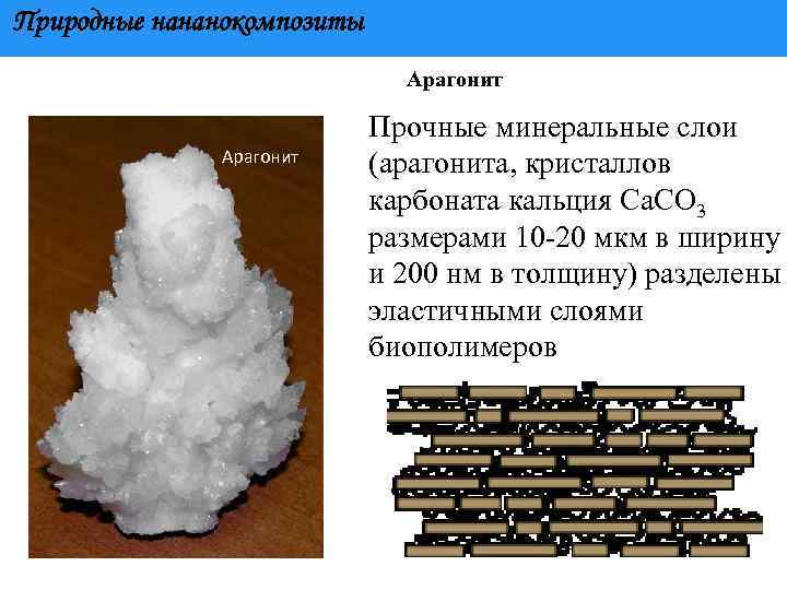 Природные нананокомпозиты Арагонит Прочные минеральные слои (арагонита, кристаллов карбоната кальция Ca. CO 3 размерами