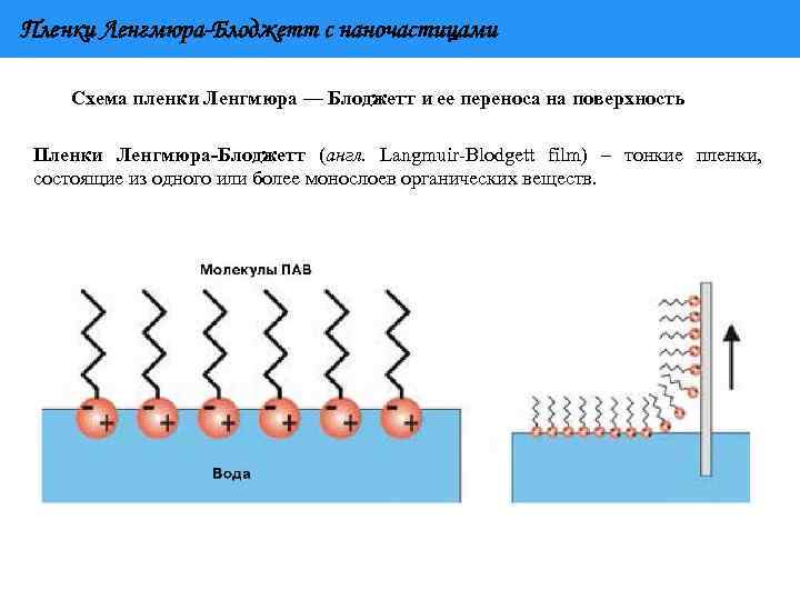 Пленки Ленгмюра-Блоджетт с наночастицами Схема пленки Ленгмюра — Блоджетт и ее переноса на поверхность